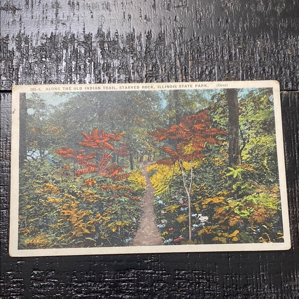 Vintage Postcard of Starved Rock Trail, Illinois State Park!